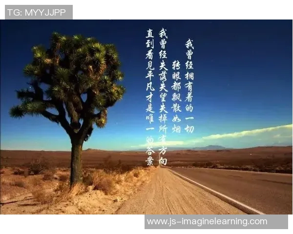 足球明星的励志语录与人生哲学启示你我前行的力量